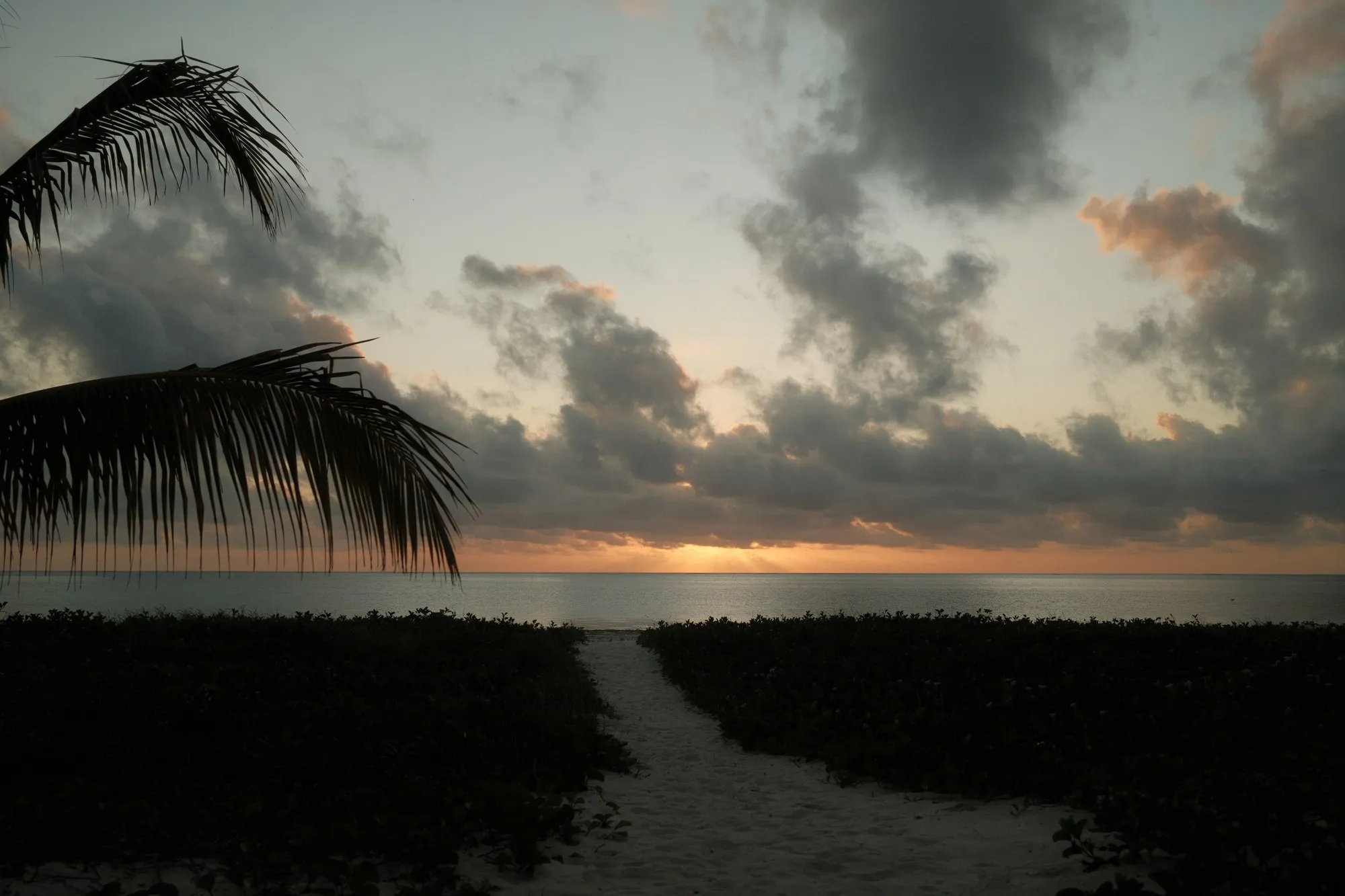 Stone Town and the Spice Coast