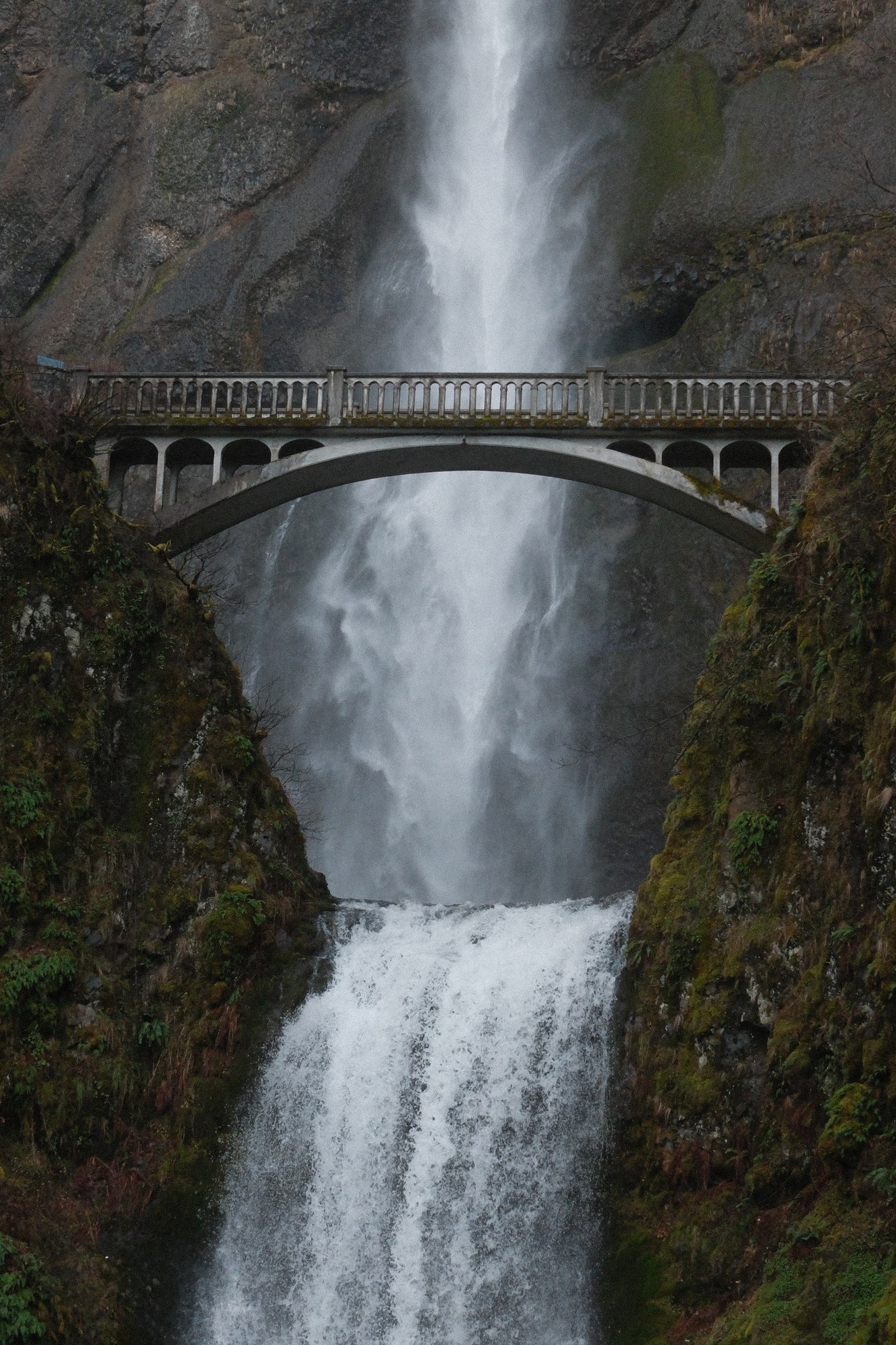 Pacific Northwest — Print 04